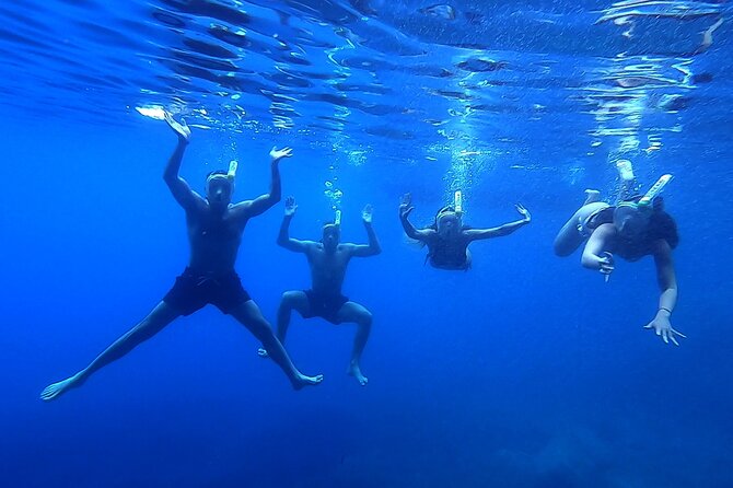 Elaphite Islands & Mljet - Private Boat Excursion from Dubrovnik - Three hours at Lemuni Lagoon on Mljet