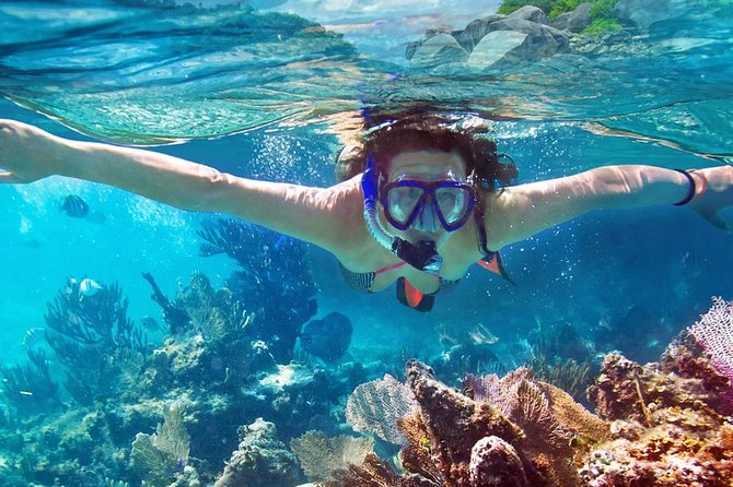 Explore the Caves and Hidden Bays with Underwater Scooter - Is the $1,201.52 group price good value?