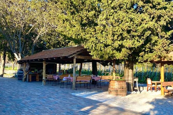 Flavours of Konavle: Wine, Food & Village Life Experience - What to confirm before you go