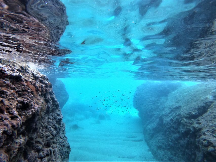 From Dubrovnik: 4-hour Elafiti Islands Private Boat Tour - When four hours is enough, and when it is not