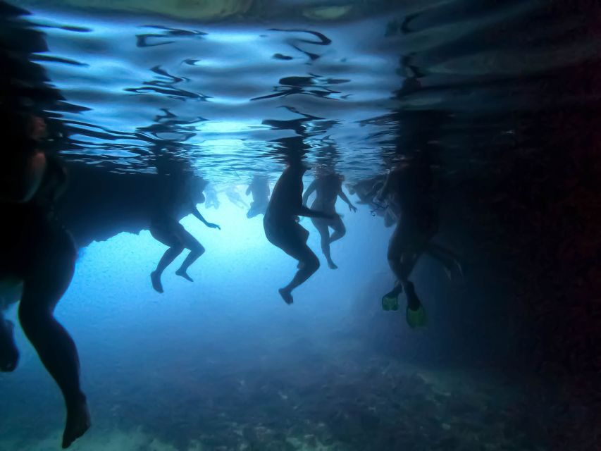From Dubrovnik/Cavtat: Blue Cave, Sunj Beach Speed Boat Tour - Swimming into the Blue Cave on Koločep