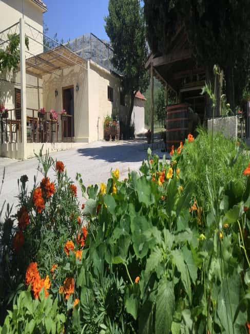 From Dubrovnik: Half-Day Wine Tasting and Cavtat City Tour - From Dubrovnik into the Konavle Valley