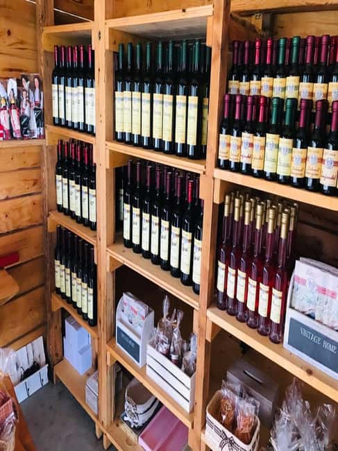 From Dubrovnik: Half-Day Wine Tasting and Cavtat City Tour - Four wines, local character, and generous pours