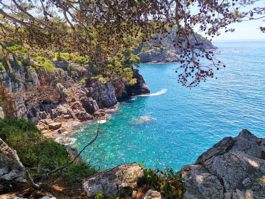 From Dubrovnik: Hiking & Swimming on Koločep Island Day Trip - Lunch, Snacks, and the Local Fish Restaurant