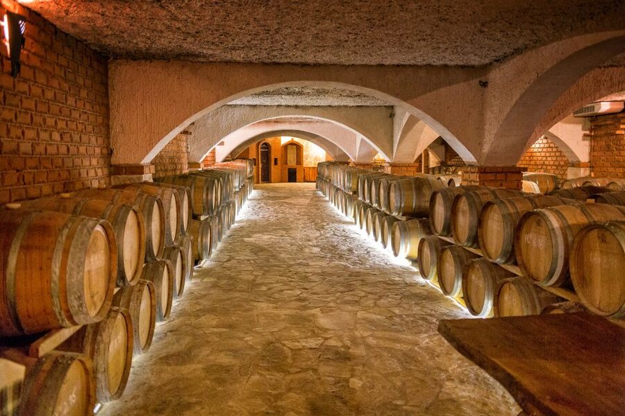 From Dubrovnik: Island of Korčula with wine tasting - How much of the day is spent on the road?