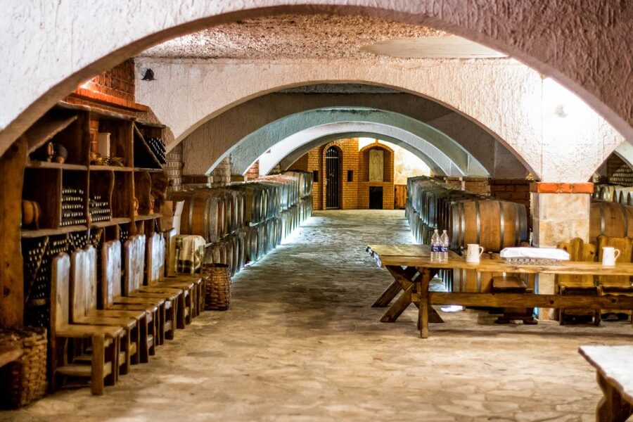 From Dubrovnik: Island of Korčula with wine tasting - Who will enjoy this day trip?