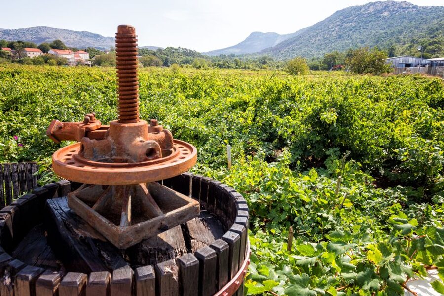 From Dubrovnik: Island of Korčula with wine tasting - Crossing from Orebić to Korčula
