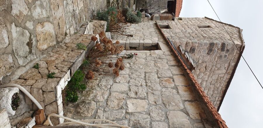 From Dubrovnik: Majkovi Village and Ston Private Food Tour - Timing, comfort, and what to bring