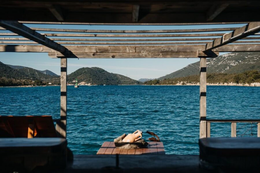 From Dubrovnik: Mali Ston Oyster Paradise Tour with Transfer - From Dubrovnik to the old border at Ston
