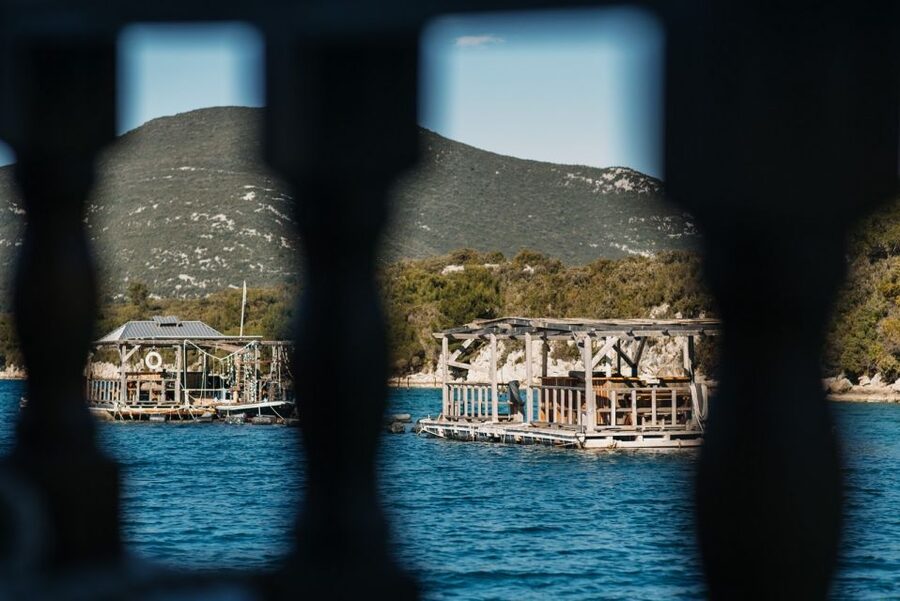 From Dubrovnik: Mali Ston Oyster Paradise Tour with Transfer - The guide and the sense of place