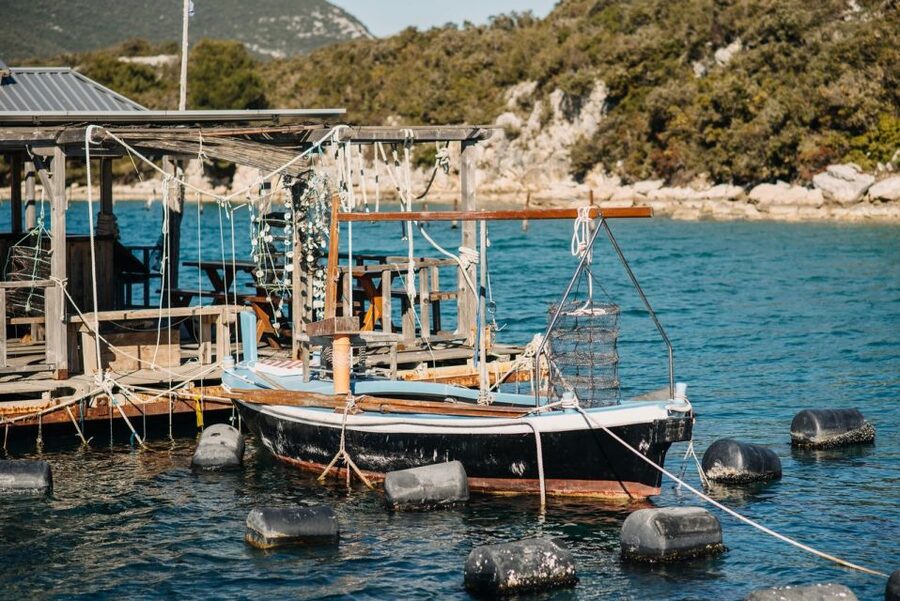 From Dubrovnik: Mali Ston Oyster Paradise Tour with Transfer - Who should book this oyster outing