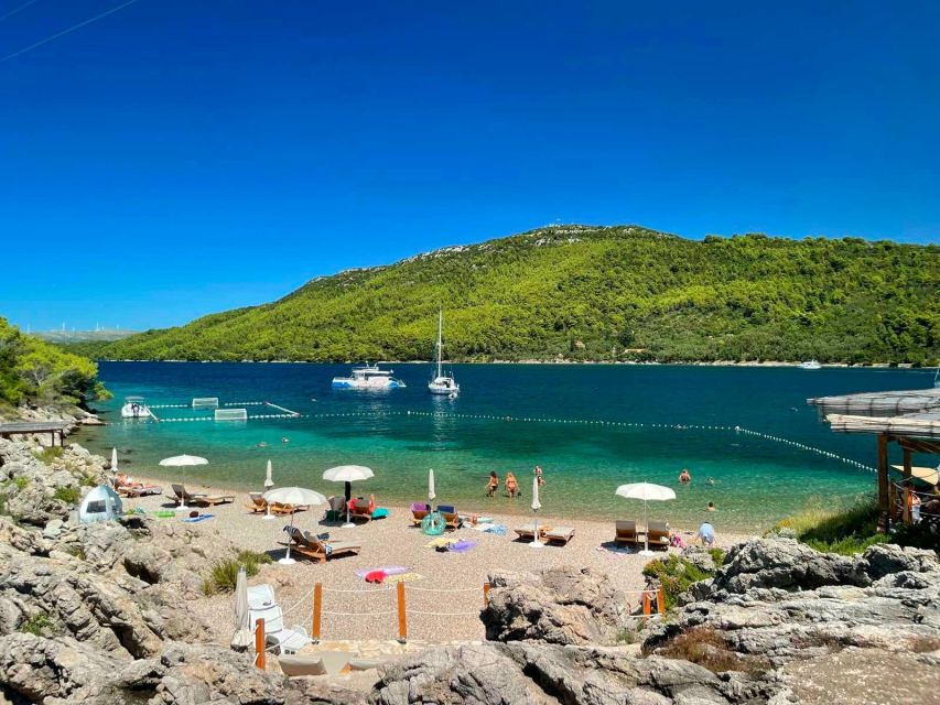 From Dubrovnik: Mljet National Park & Elaphiti Islands Trip - Why this speedboat trip works better than a big cruise