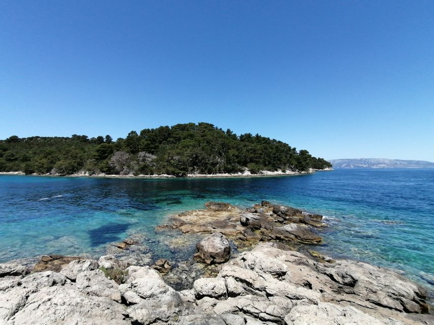 From Dubrovnik: Mljet National Park & Elaphiti Islands Trip - What the $153 price really covers