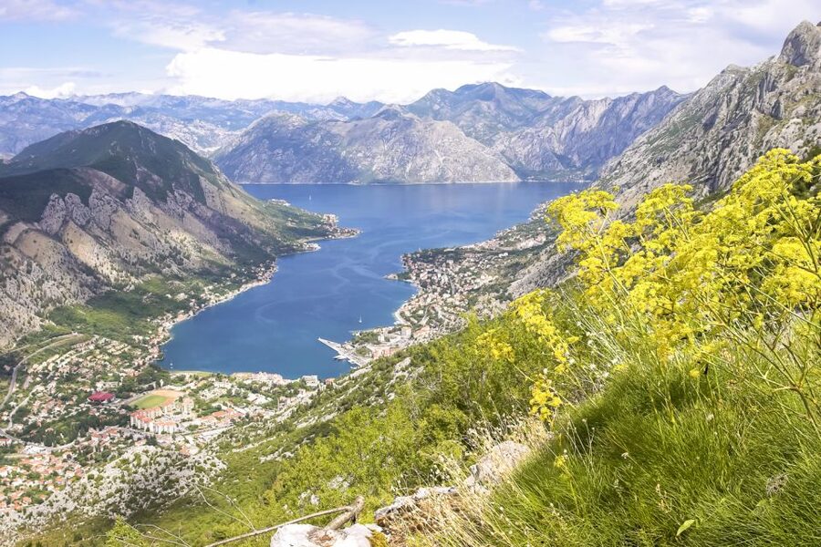 From Dubrovnik: Montenegro Day Trip - Which type of visitor will enjoy this most?