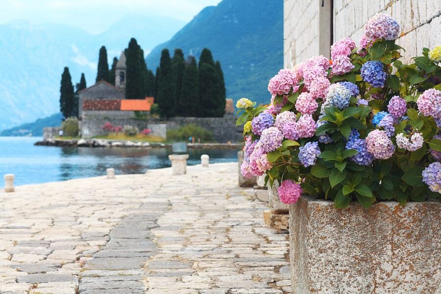 From Dubrovnik: Montenegro Highlights Day Tour - Comfort, mobility, and what to pack