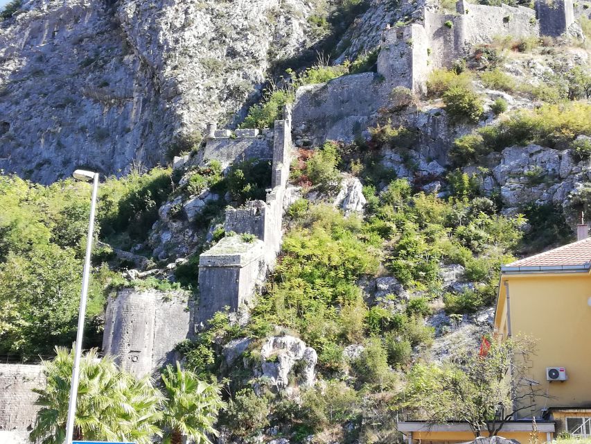 From Dubrovnik: Montenegro, Kotor City Tour - Who will enjoy this Kotor excursion most