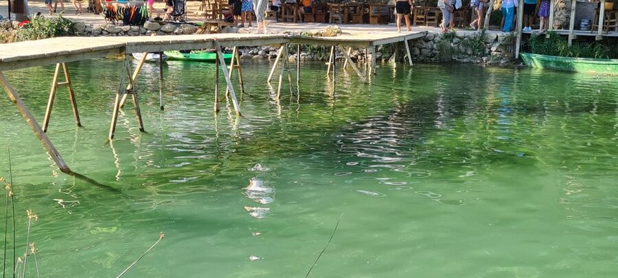 From Dubrovnik: Mostar and Kravica Waterfall Day Trip - Food, shopping, and free time in Mostar