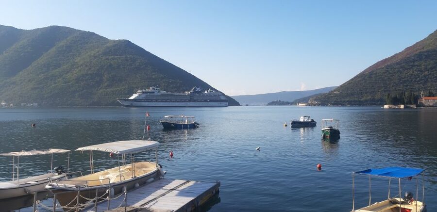From Dubrovnik: Perast, Kotor & Budva Small-Group Day Trip - Who should book this Montenegro day trip