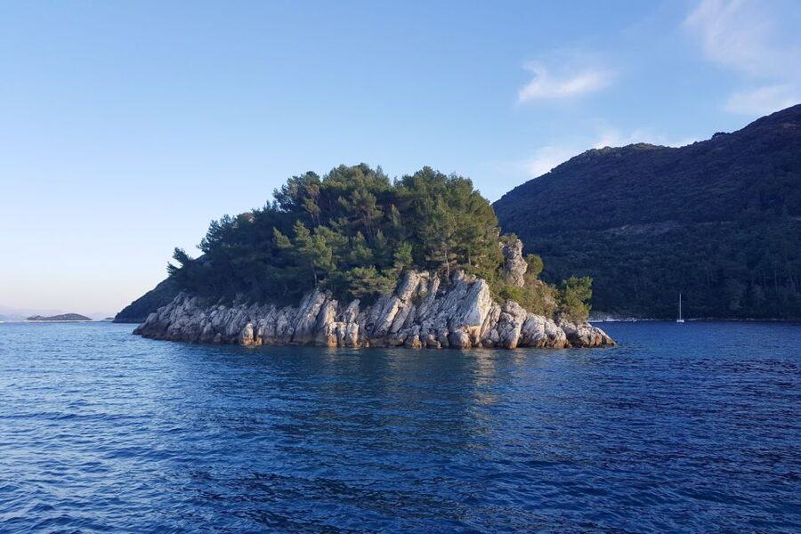 From Dubrovnik: Pvt Speedboat Cruise to Mljet&Sipanska Luka - Who should book this Mljet boat day?
