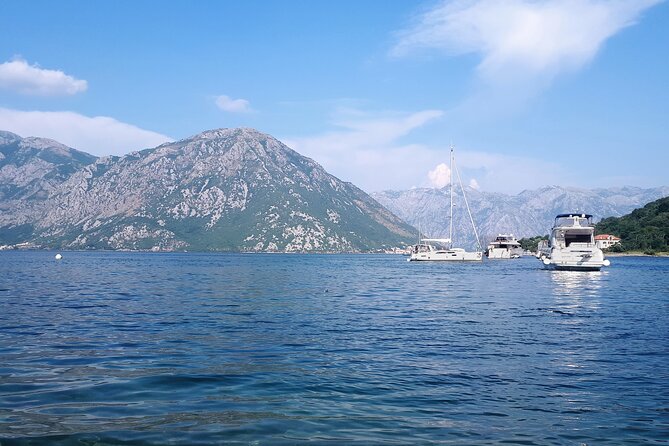 Full-Day Group Tour of Montenegro Coast from Dubrovnik - Price and value at $65.90