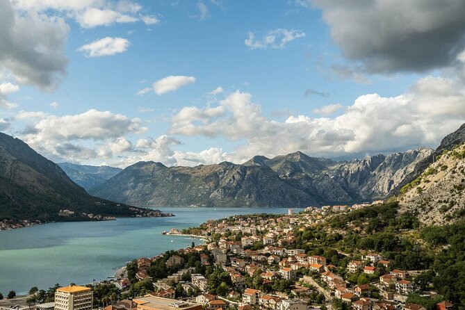 Full-Day Group Tour of Montenegro Coast from Dubrovnik - What the guide and driver add