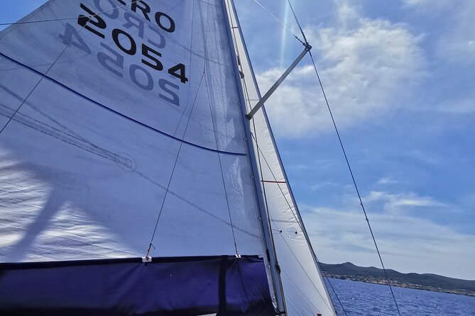 Full Day Sailing Tour To Elafiti Islands from Dubrovnik - Who will enjoy this day most