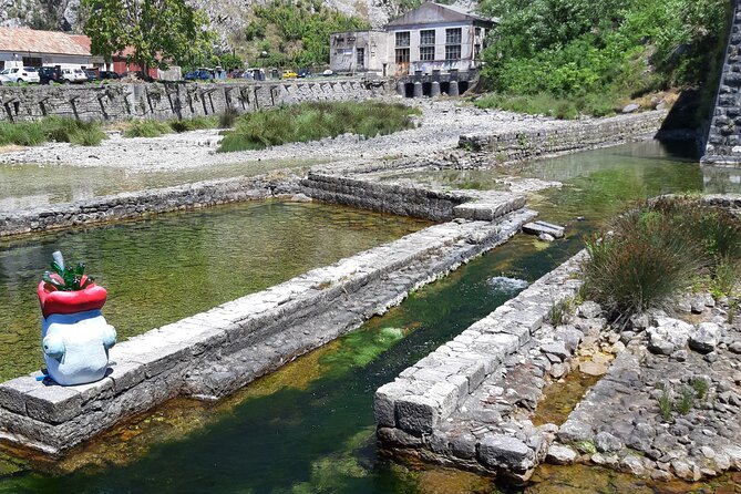 Full-Day Tour Bay of Kotor Perast Kotor and Budva small group from Dubrovnik - Kotor: the day’s main historic stop