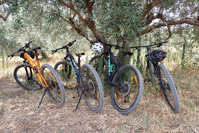 Half-Day Bike Tour in Lumbarda with Wine Tasting - A swim at Lumbarda Beach