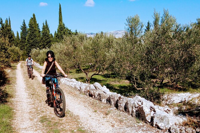 Half-Day Bike Tour in Lumbarda with Wine Tasting - Who will enjoy this Korčula bike tour most
