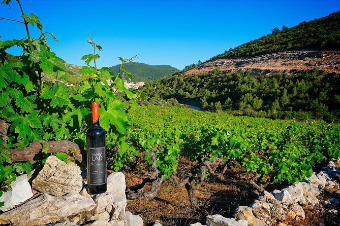 Half Day Tour - Deep and Dark Red Wine of Pelješac - A private vehicle changes the pace