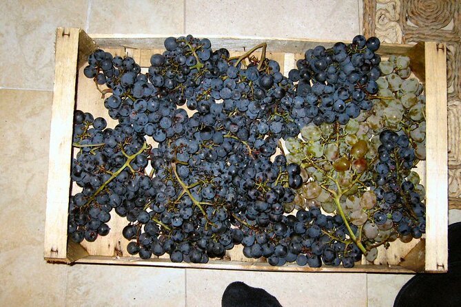 Half Day Tour - Deep and Dark Red Wine of Pelješac - How the time works in practice