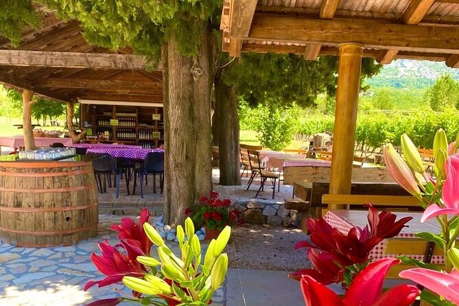 Half-Day Wine and Food Tasting from Dubrovnik - From Dubrovnik to the Konavle countryside