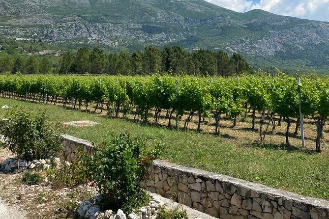 Half-Day Wine and Food Tasting from Dubrovnik - Homemade liquors before and after the wine