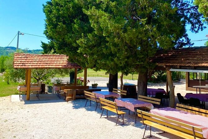 Half-Day Wine and Food Tasting from Dubrovnik - How much time do you really spend tasting?
