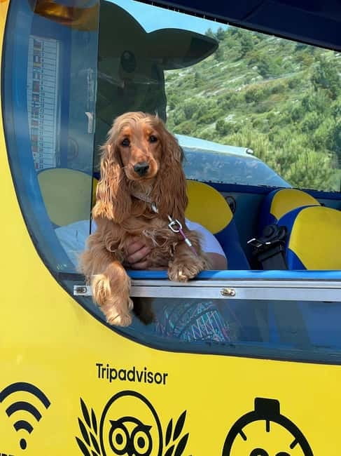 Hop-On Hop-Off Yellow Cabrio Tour: See Dubrovnik in 90mins - Booking, timing, and flexibility