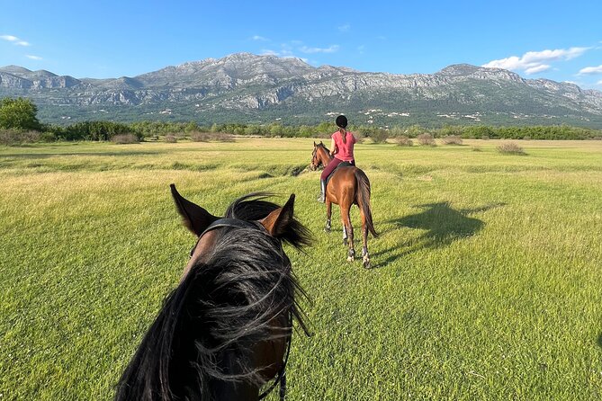 Horseback Riding Experience with transport from Dubrovnik - Meeting the horses at Mali Raj