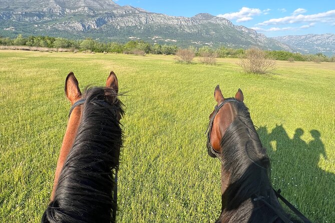 Horseback Riding Experience with transport from Dubrovnik - What the $118.94 price includes in value