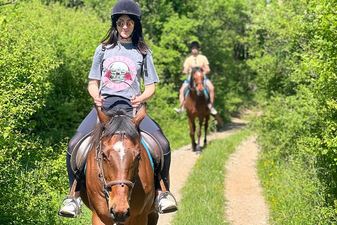 Horseback Riding Experience with transport from Dubrovnik - The honest tradeoff: short ride, personal morning