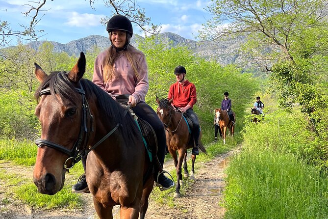 Horseback Riding Experience with transport from Dubrovnik - What the 60-minute trail ride is like
