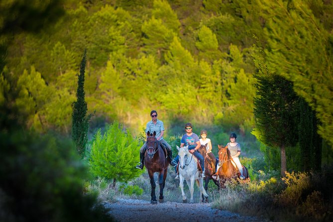 Horseback Riding in Konavle Region with Transport from Dubrovnik - Why the Konavle countryside is the real attraction