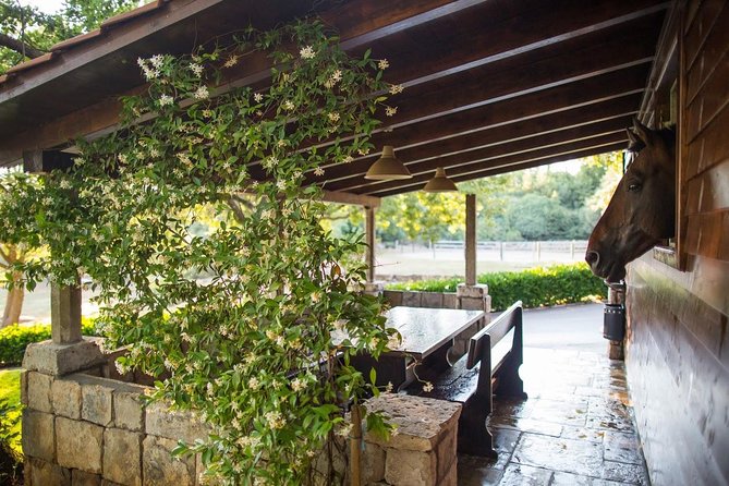 Horseback Riding in Konavle Region with Transport from Dubrovnik - The two-hour ride through forest, villages, and coast
