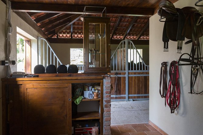 Horseback Riding in Konavle Region with Transport from Dubrovnik - Why the slow pace works for first-time riders