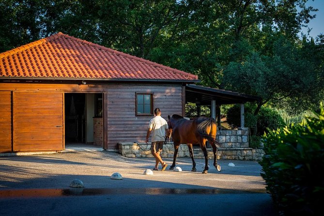 Horseback Riding in Konavle Region with Transport from Dubrovnik - Wine, sandwiches, and a family welcome at the ranch