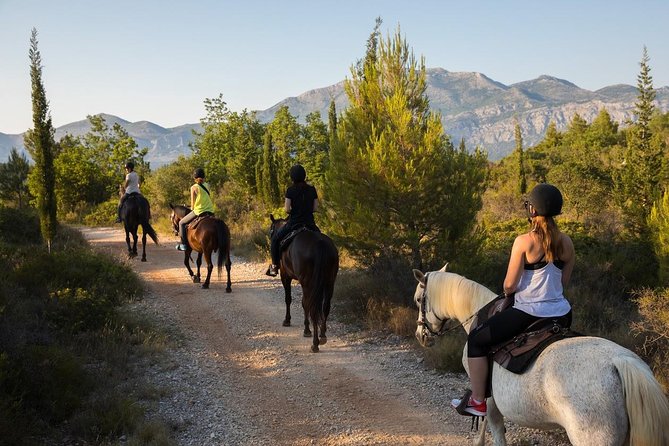 Horseback Riding in Konavle Region with Transport from Dubrovnik - Pickup from Dubrovnik and the 6 PM start