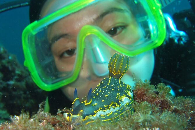 Intro Dive in Dubrovnik - Starting at Blue Planet Diving Center