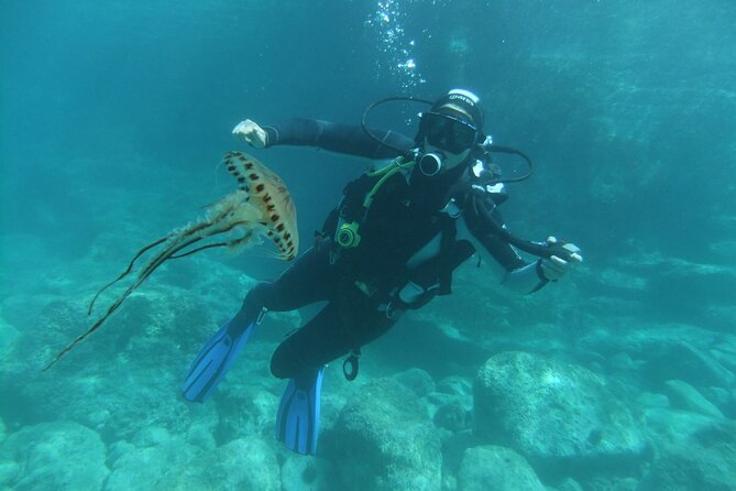 Intro Dive in Dubrovnik - Who should book this Dubrovnik session?