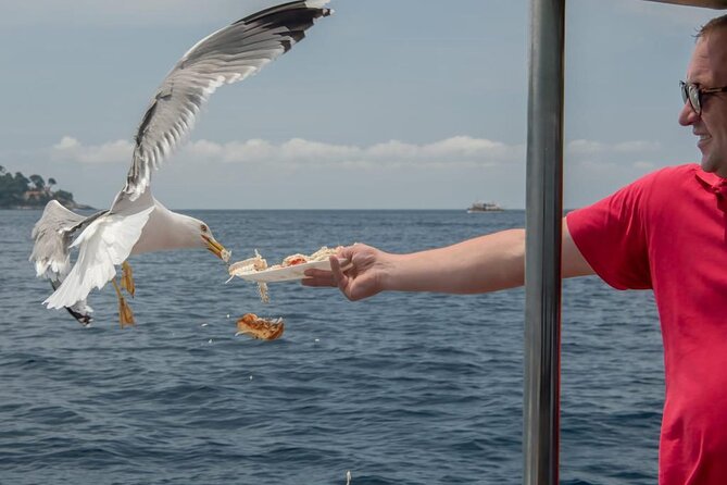 Island Hopping & City Walls Cruise with Food and Open Bar - Lopud: the main stop and the route to Šunj Beach
