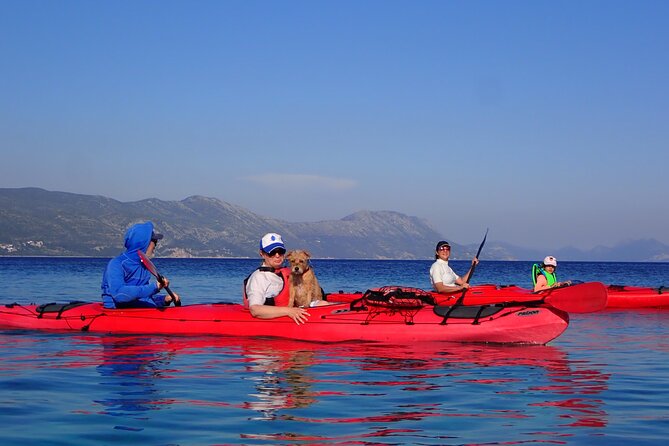 Kayaking Korčula's Paradise -Half Day Guided Kayak Tour - Swimming and snorkeling in clear water