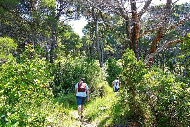 Kolocep Island Hiking and Swimming Full Day Trip from Dubrovnik - What the $105.86 price really buys