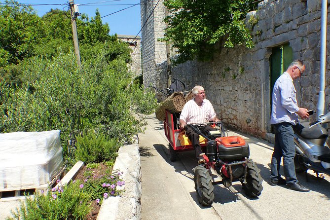 Kolocep Island Hiking and Swimming Full Day Trip from Dubrovnik - Guides, group size, and the feel of the day